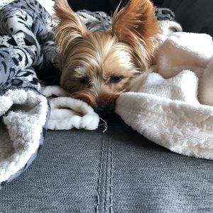 Meet your Posher, Becky